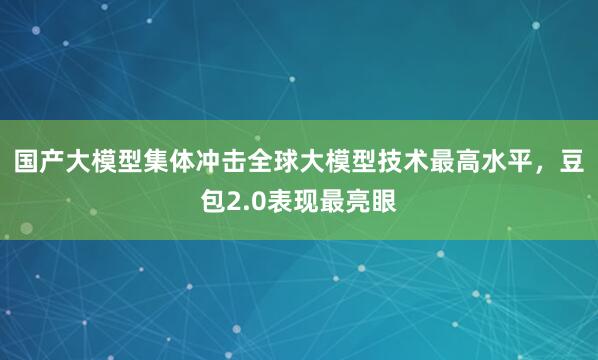 国产大模型集体冲击全球大模型技术最高水平，豆包2.0表现最亮眼