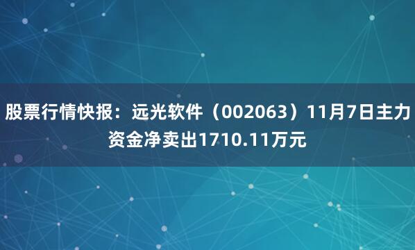 股票行情快报：远光软件（002063）11月7日主力资金净卖出1710.11万元