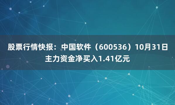 股票行情快报：中国软件（600536）10月31日主力资金净买入1.41亿元