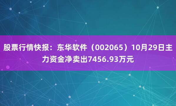 股票行情快报：东华软件（002065）10月29日主力资金净卖出7456.93万元