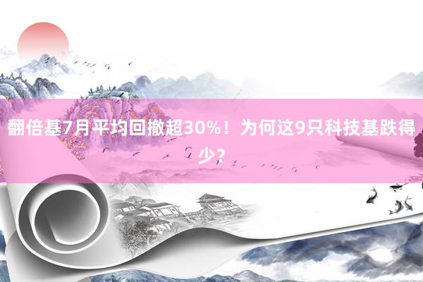 翻倍基7月平均回撤超30%！为何这9只科技基跌得少？