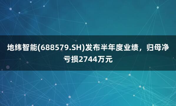 地纬智能(688579.SH)发布半年度业绩，归母净亏损2744万元