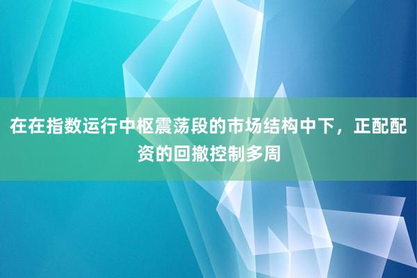 在在指数运行中枢震荡段的市场结构中下，正配配资的回撤控制多周
