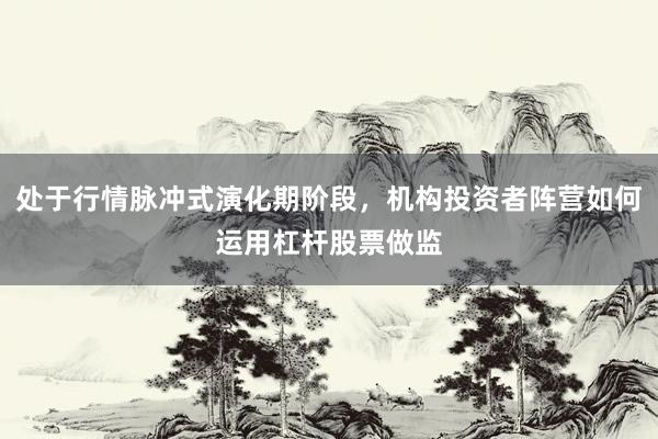 处于行情脉冲式演化期阶段，机构投资者阵营如何运用杠杆股票做监