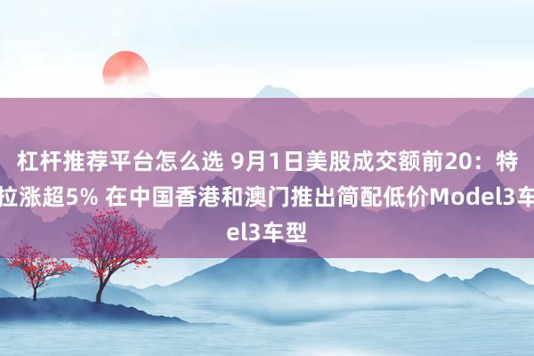 杠杆推荐平台怎么选 9月1日美股成交额前20：特斯拉涨超5% 在中国香港和澳门推出简配低价Model3车型