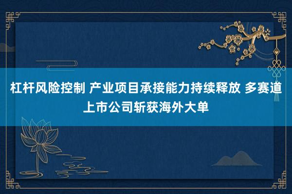 杠杆风险控制 产业项目承接能力持续释放 多赛道上市公司斩获海外大单